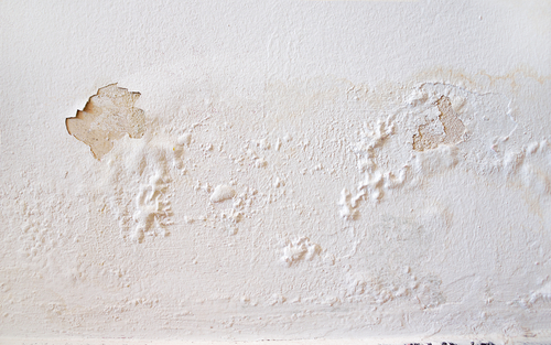 Repairing Water Damage and Stains